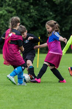 Album: Minis - 